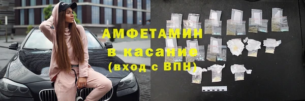 гидра Абаза
