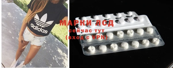 гидра Абаза