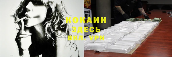 гидра Абаза