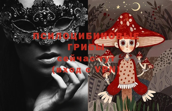 гидра Абаза