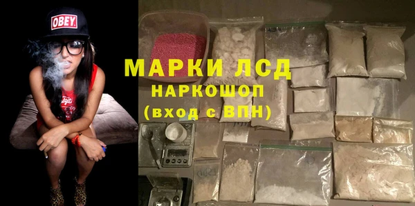 гидра Абаза