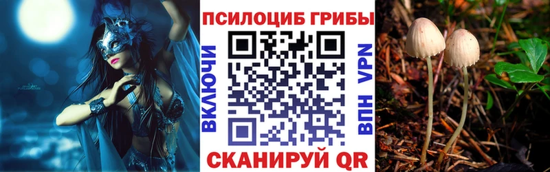 KRAKEN вход Полевской Псилоцибиновые грибы ЛСД