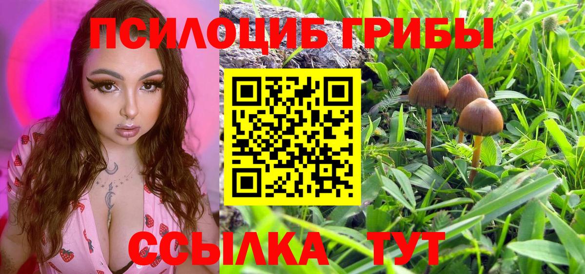 Псилоцибиновые грибы GOLDEN TEACHER Полевской