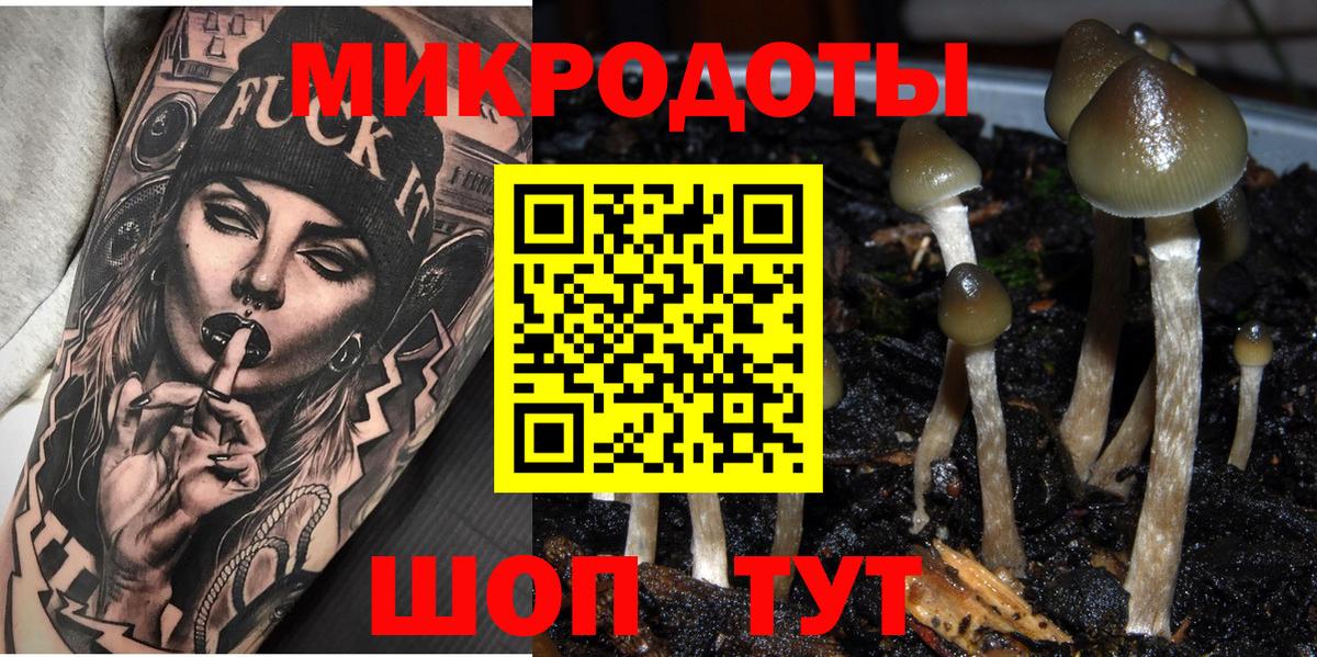 Псилоцибиновые грибы Psilocybe  Вход с VPN  Полевской  Псилоцибиновые грибы Cubensis 